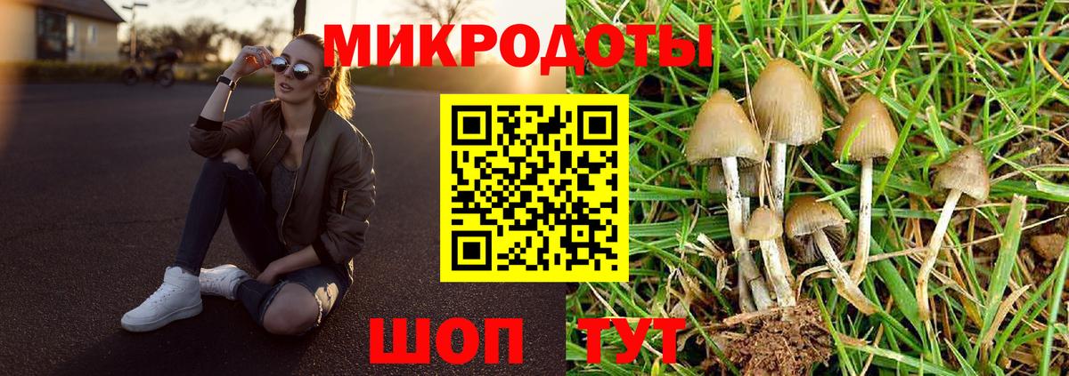 Галлюциногенные грибы ЛСД Полысаево